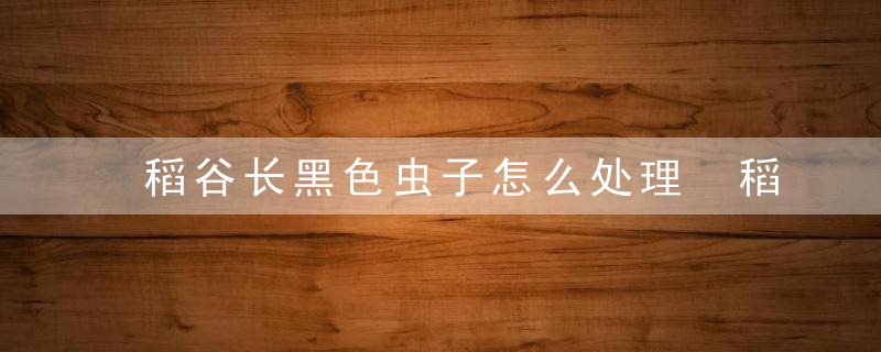 稻谷长黑色虫子怎么处理 稻谷长虫了怎么办